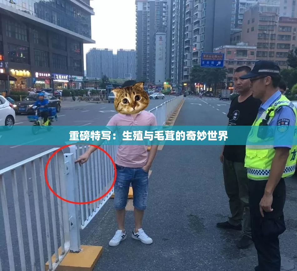重磅特写：生殖与毛茸的奇妙世界