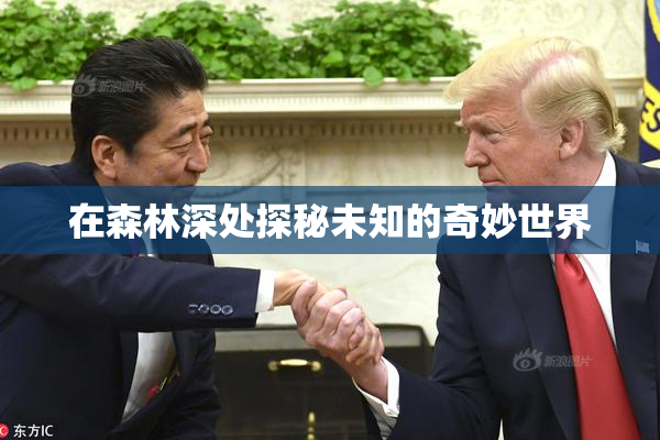 在森林深处探秘未知的奇妙世界