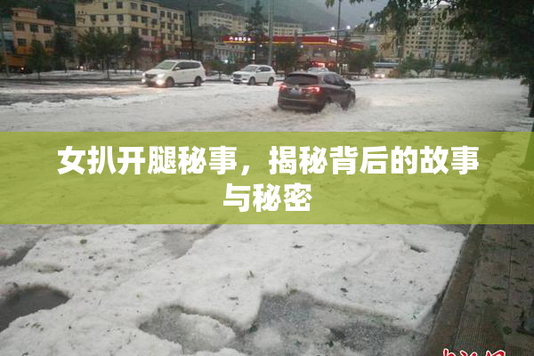 女扒开腿秘事，揭秘背后的故事与秘密