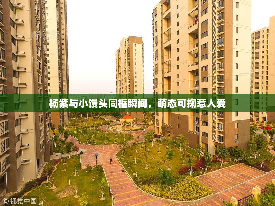 杨紫与小馒头同框瞬间，萌态可掬惹人爱