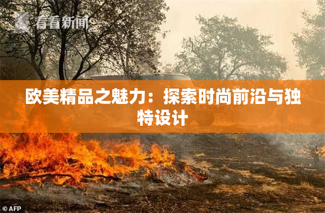 欧美精品之魅力：探索时尚前沿与独特设计
