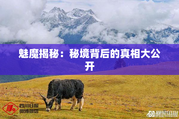魅魔揭秘：秘境背后的真相大公开