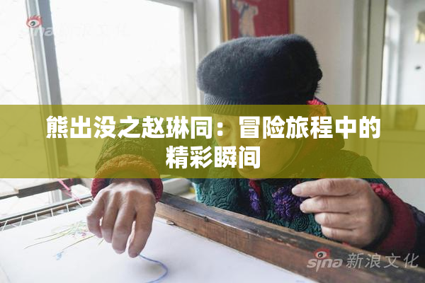 熊出没之赵琳同：冒险旅程中的精彩瞬间