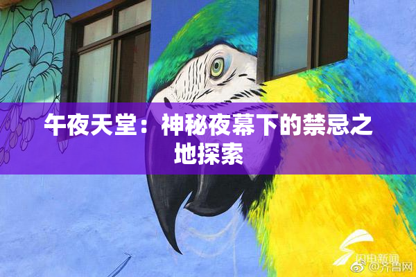 午夜天堂：神秘夜幕下的禁忌之地探索