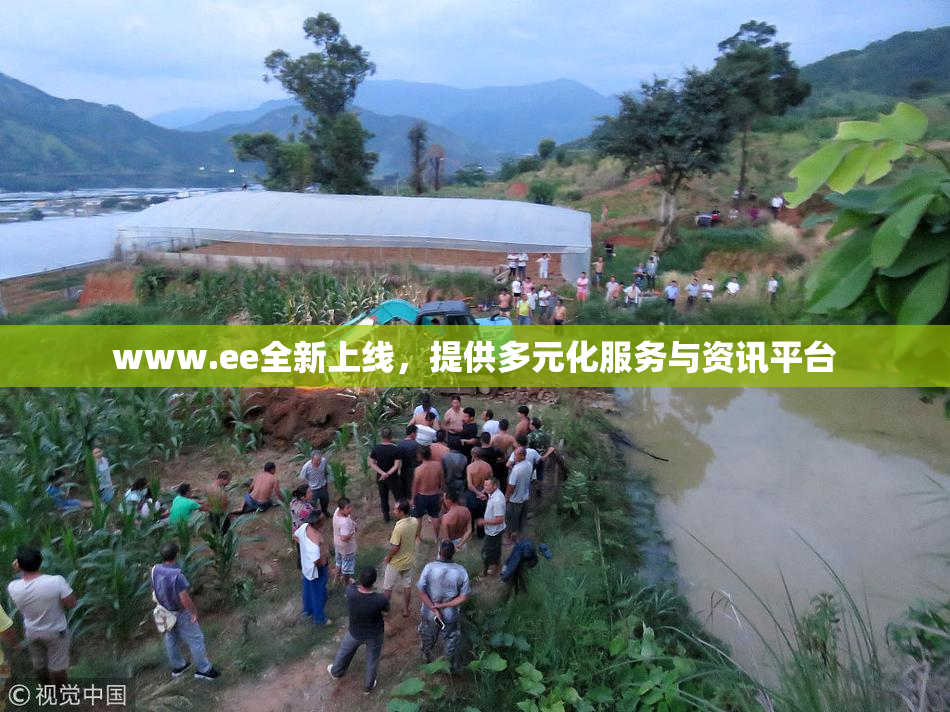 www.ee全新上线，提供多元化服务与资讯平台