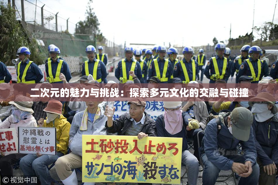 二次元的魅力与挑战：探索多元文化的交融与碰撞