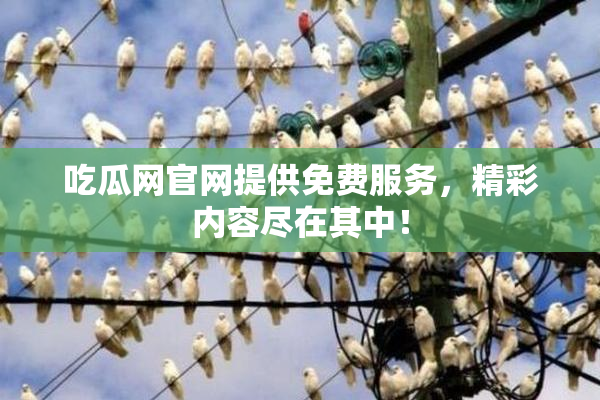 吃瓜网官网提供免费服务，精彩内容尽在其中！