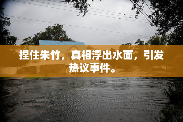 捏住朱竹，真相浮出水面，引发热议事件。