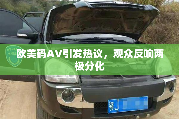 欧美码AV引发热议，观众反响两极分化