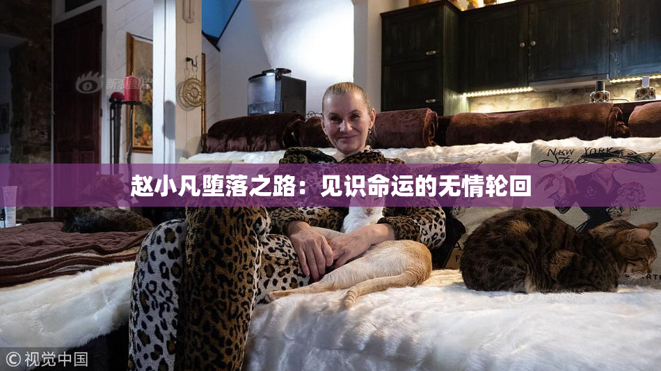 赵小凡堕落之路：见识命运的无情轮回