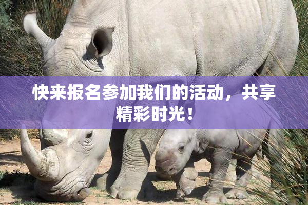 快来报名参加我们的活动，共享精彩时光！