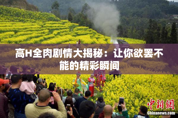 高H全肉剧情大揭秘：让你欲罢不能的精彩瞬间