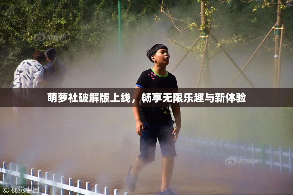 萌萝社破解版上线，畅享无限乐趣与新体验