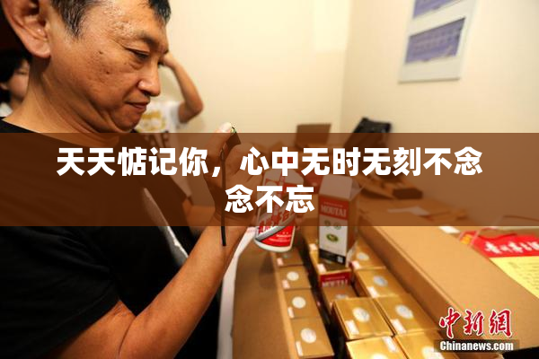 天天惦记你，心中无时无刻不念念不忘