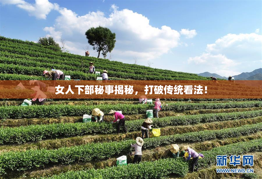 女人下部秘事揭秘，打破传统看法！