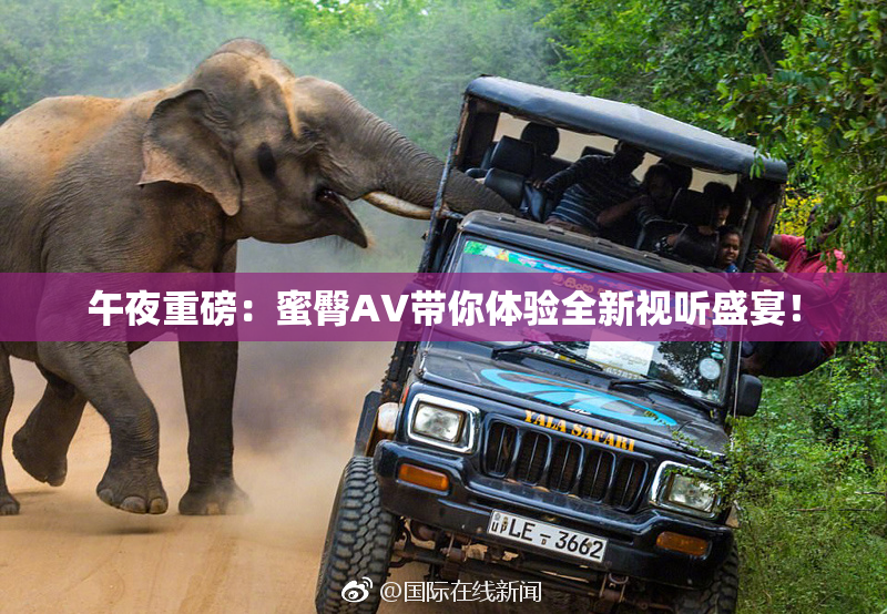 午夜重磅：蜜臀AV带你体验全新视听盛宴！