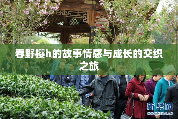 春野樱h的故事情感与成长的交织之旅