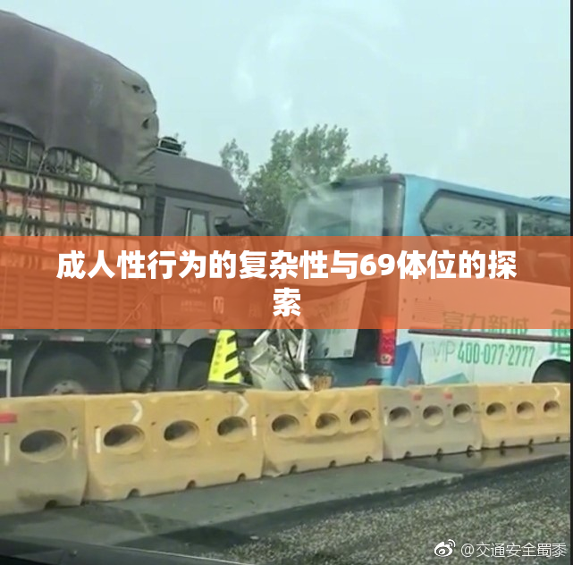 成人性行为的复杂性与69体位的探索