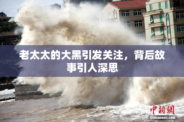 老太太的大黑引发关注，背后故事引人深思