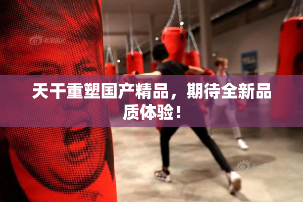 天干重塑国产精品，期待全新品质体验！