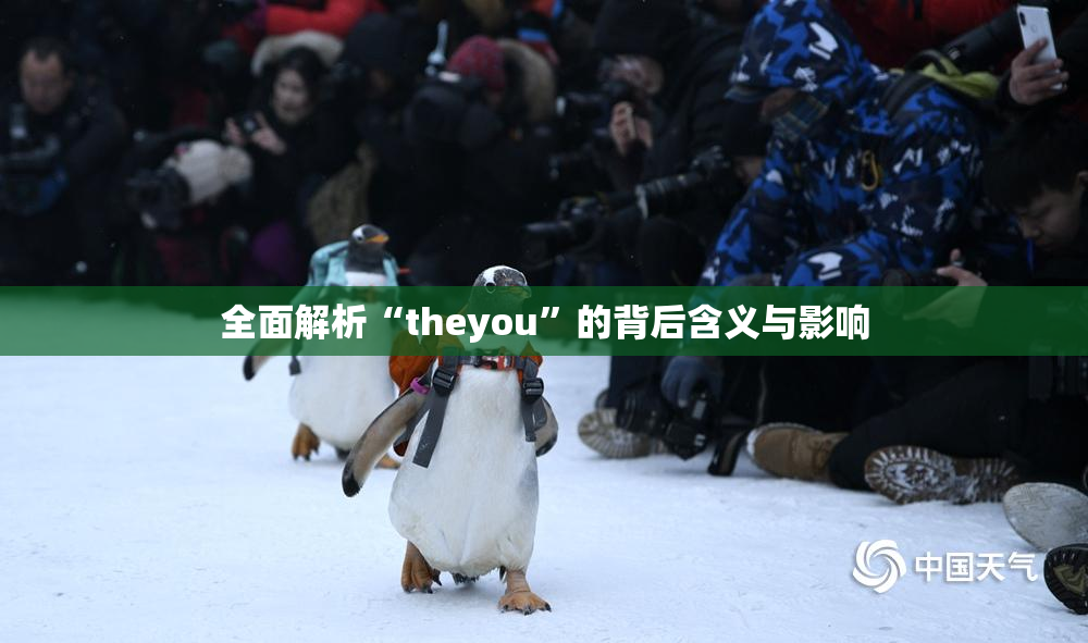 全面解析“theyou”的背后含义与影响
