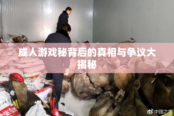 成人游戏秘背后的真相与争议大揭秘