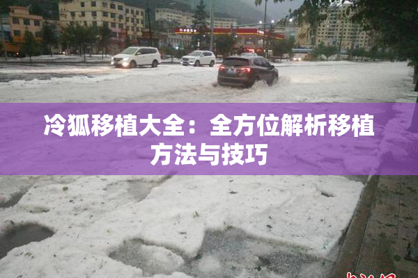 冷狐移植大全：全方位解析移植方法与技巧