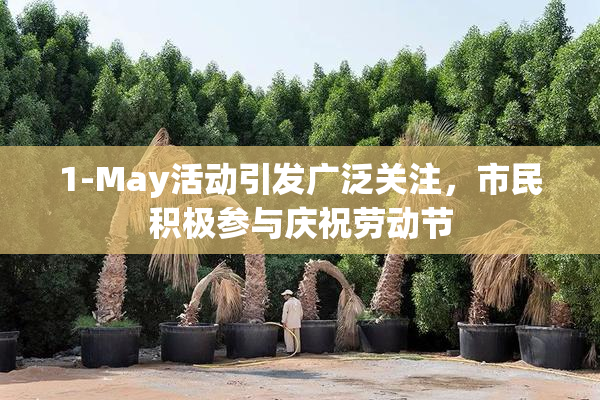 1-May活动引发广泛关注，市民积极参与庆祝劳动节
