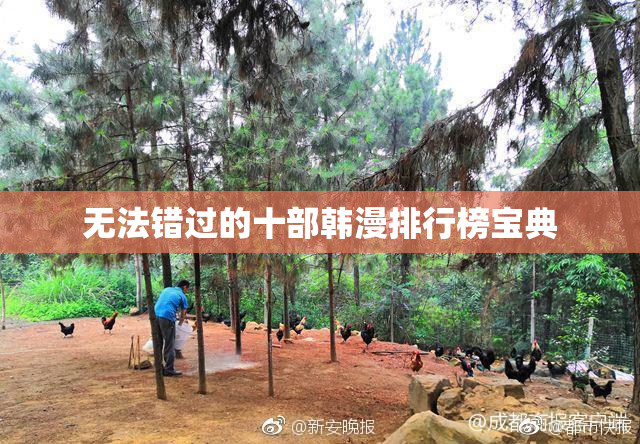 无法错过的十部韩漫排行榜宝典