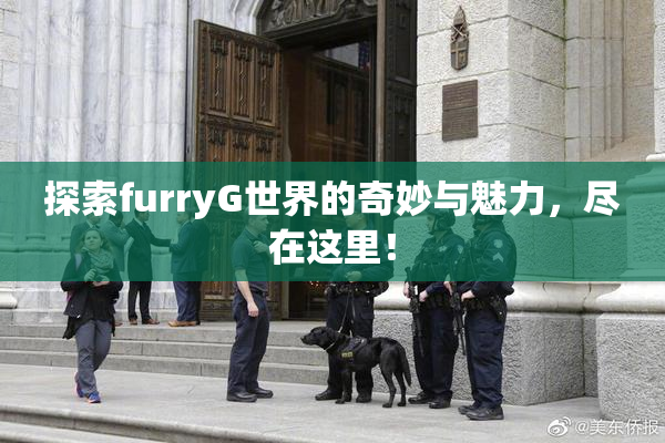 探索furryG世界的奇妙与魅力，尽在这里！