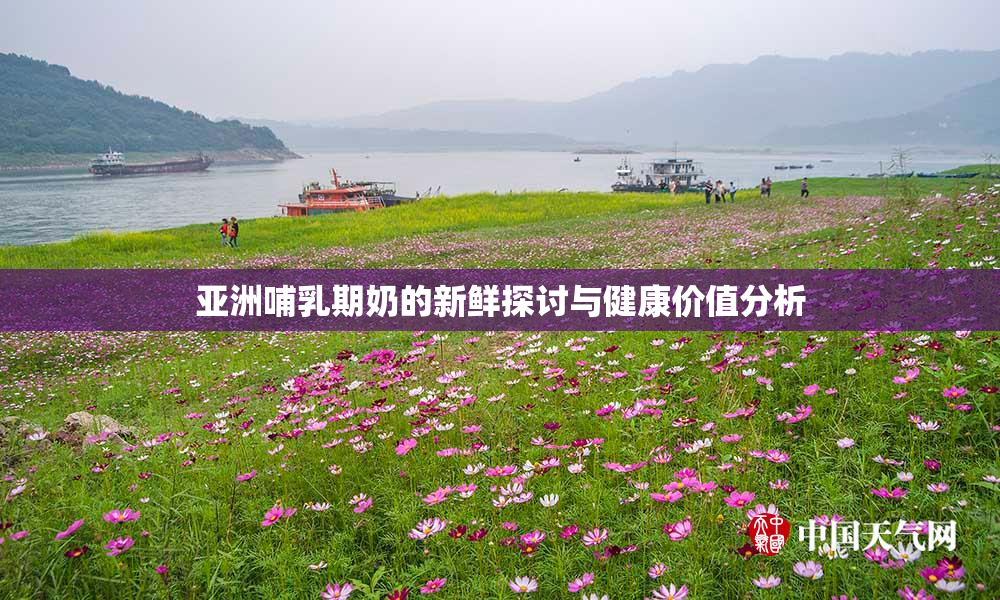 亚洲哺乳期奶的新鲜探讨与健康价值分析