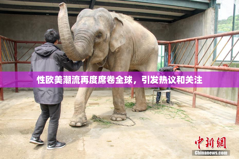 性欧美潮流再度席卷全球，引发热议和关注
