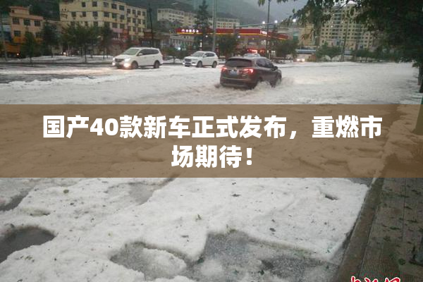 国产40款新车正式发布，重燃市场期待！