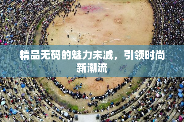 精品无码的魅力未减，引领时尚新潮流