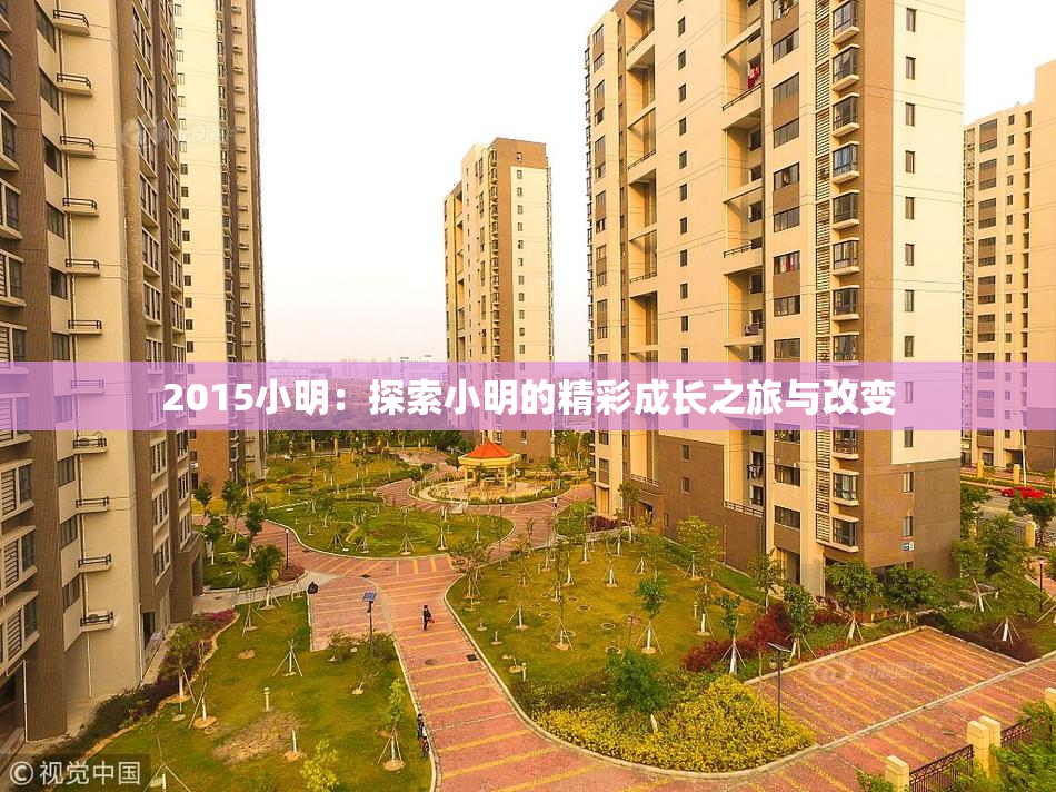 2015小明：探索小明的精彩成长之旅与改变