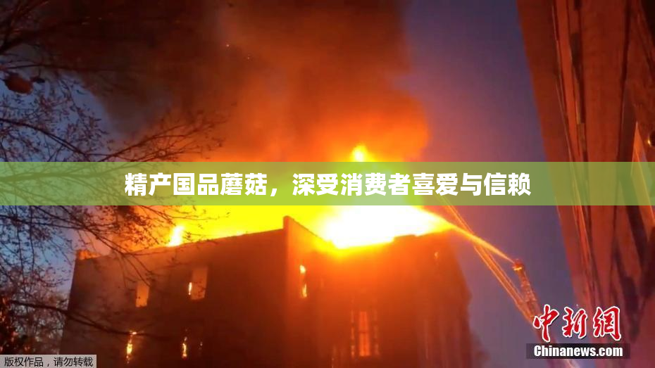 精产国品蘑菇，深受消费者喜爱与信赖