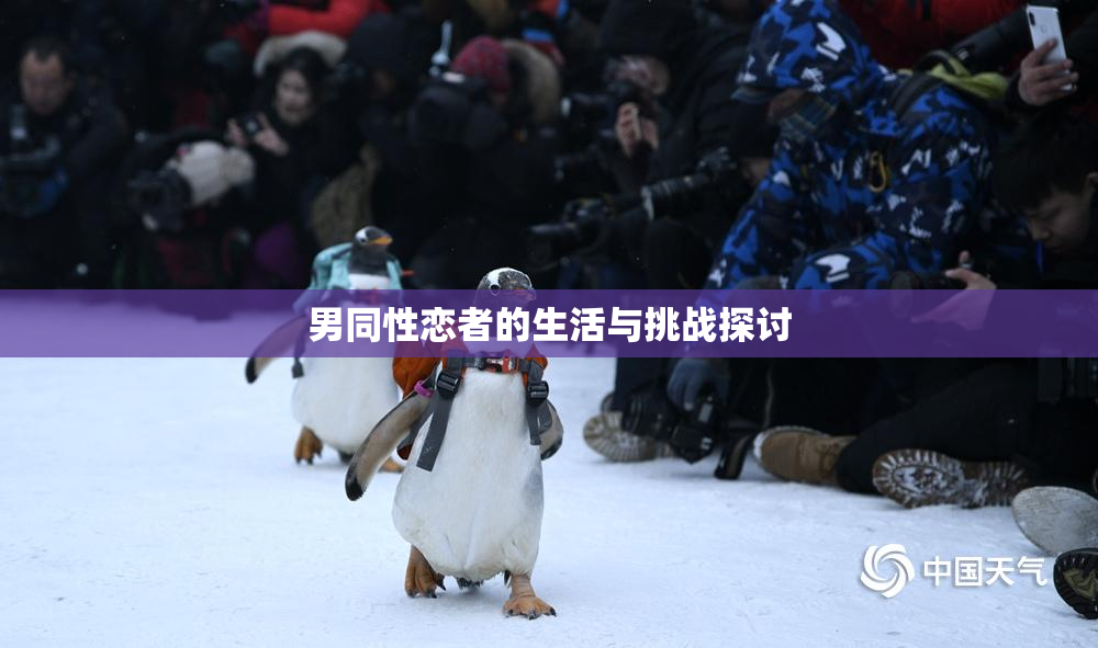 男同性恋者的生活与挑战探讨