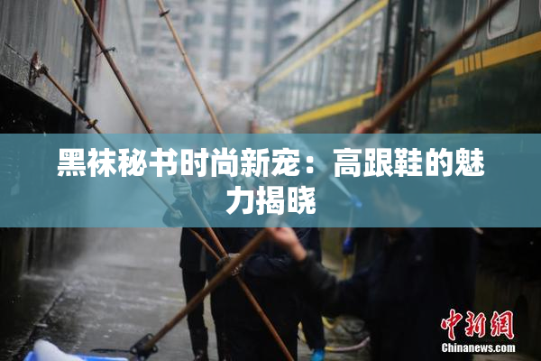 黑袜秘书时尚新宠：高跟鞋的魅力揭晓