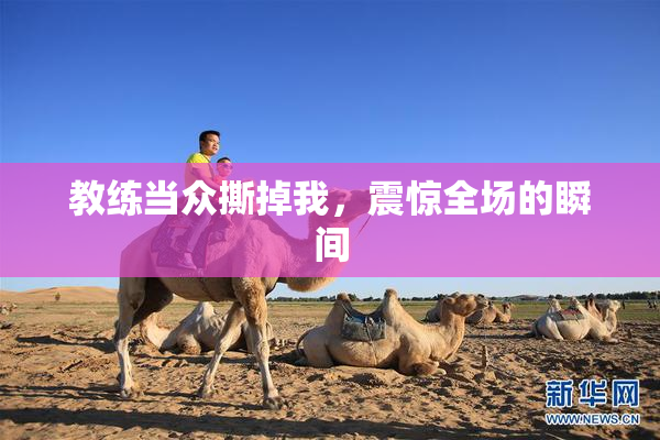 教练当众撕掉我，震惊全场的瞬间