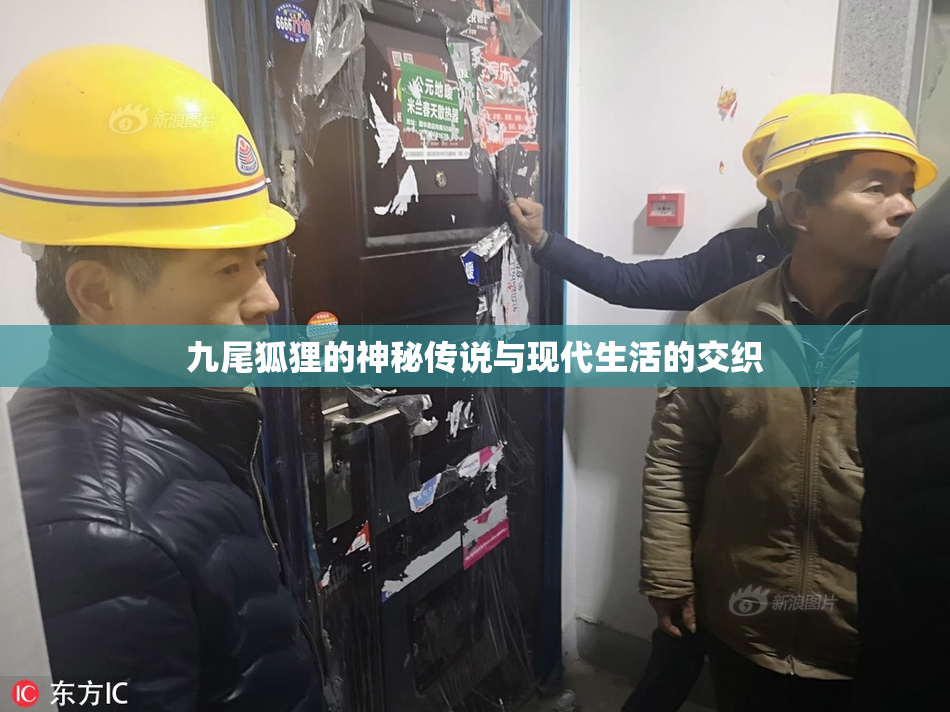 九尾狐狸的神秘传说与现代生活的交织