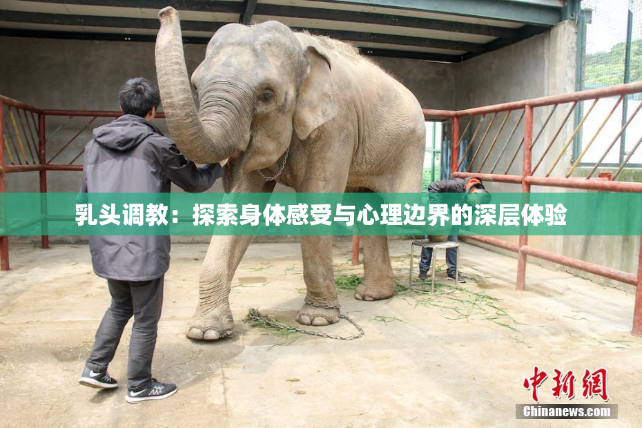 乳头调教：探索身体感受与心理边界的深层体验