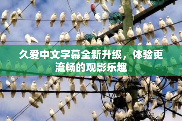 久爱中文字幕全新升级，体验更流畅的观影乐趣