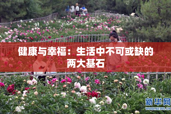 健康与幸福：生活中不可或缺的两大基石