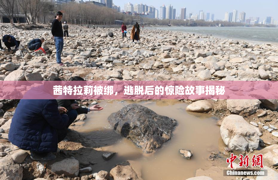 茜特拉莉被绑，逃脱后的惊险故事揭秘