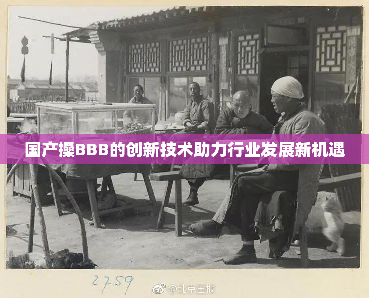 国产搡BBB的创新技术助力行业发展新机遇