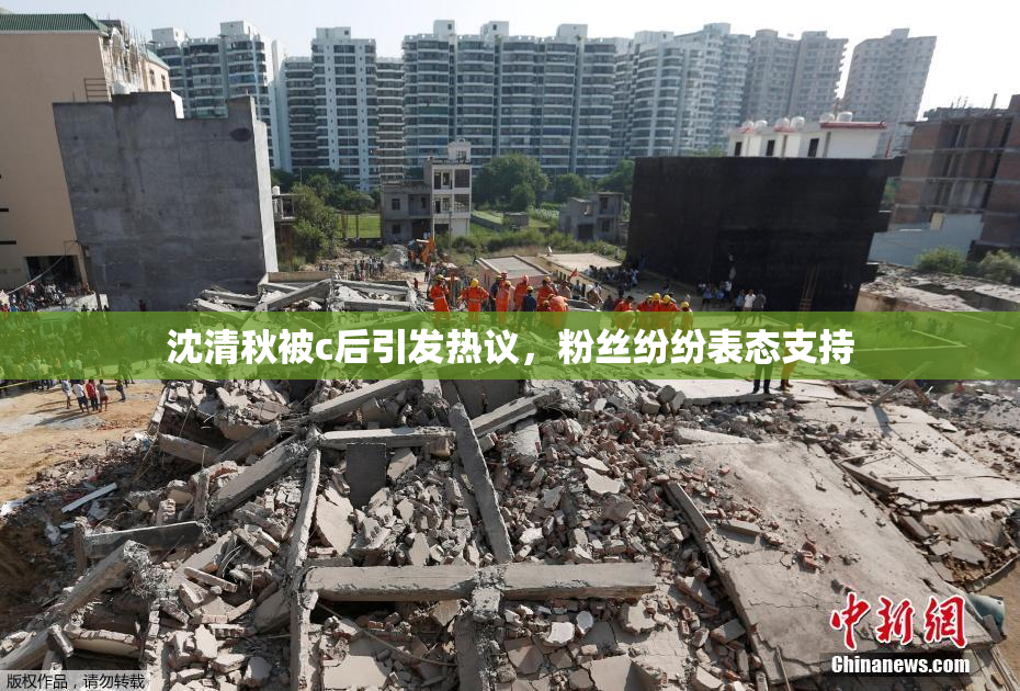 沈清秋被c后引发热议，粉丝纷纷表态支持