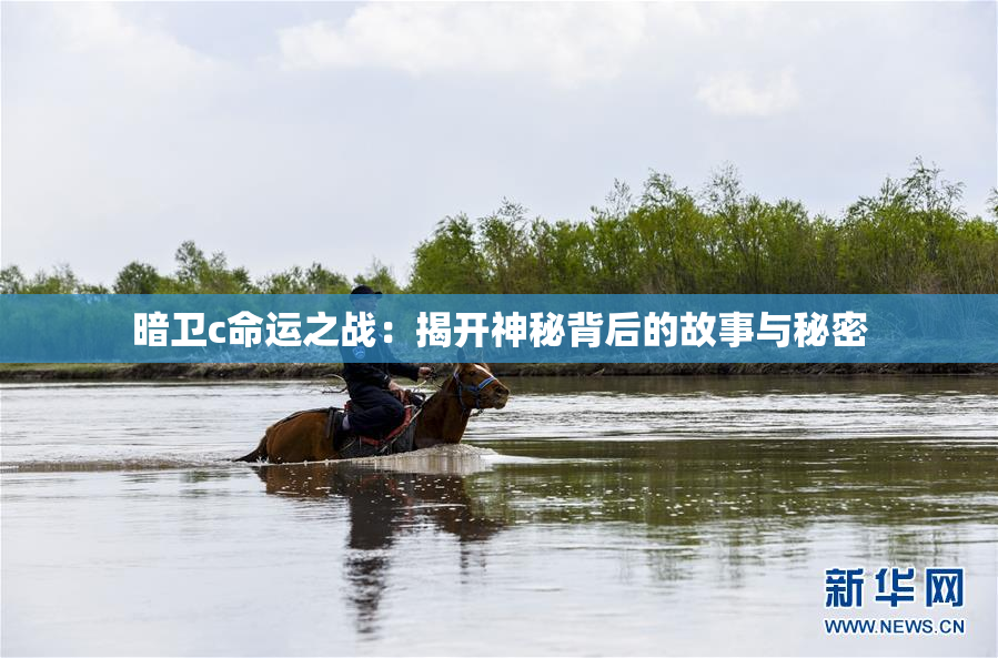 暗卫c命运之战：揭开神秘背后的故事与秘密