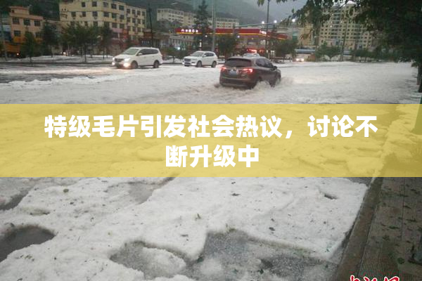 特级毛片引发社会热议，讨论不断升级中