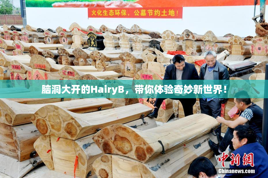 脑洞大开的HairyB，带你体验奇妙新世界！