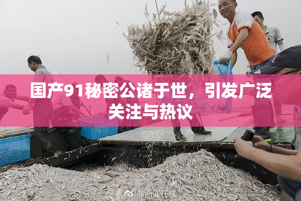 国产91秘密公诸于世，引发广泛关注与热议